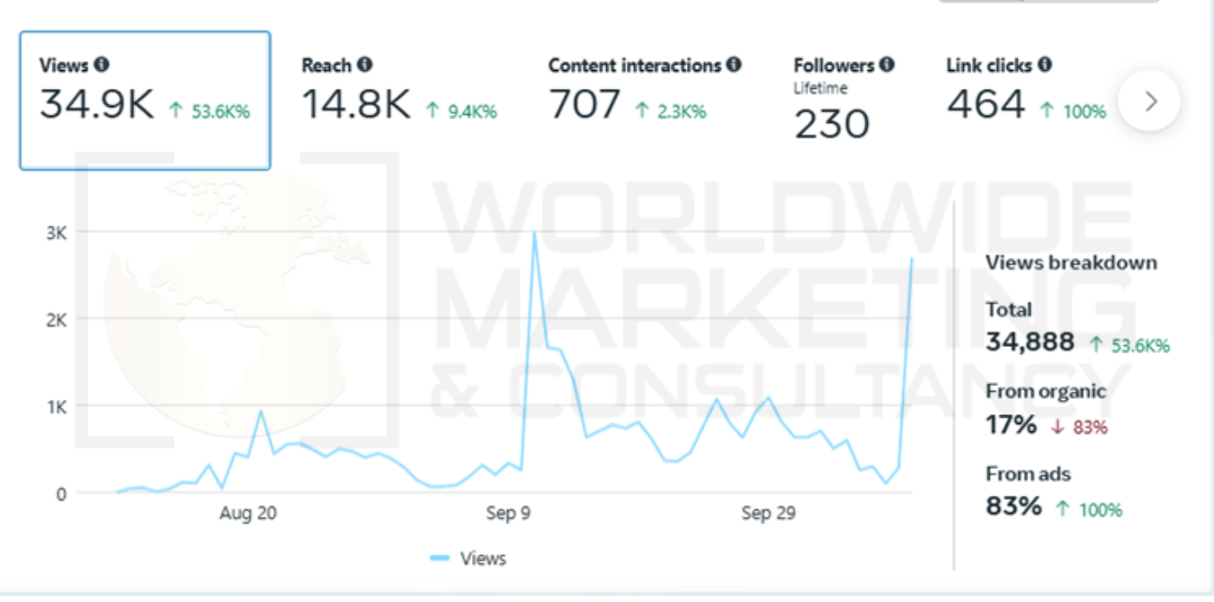 Social Media Growth - TechSolutions Inc.